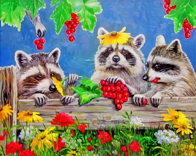 Raccoons Animals Paint By Number.png