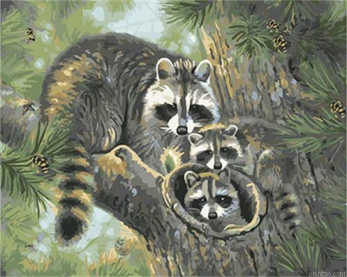 Raccoons Family Paint By Numbers.png