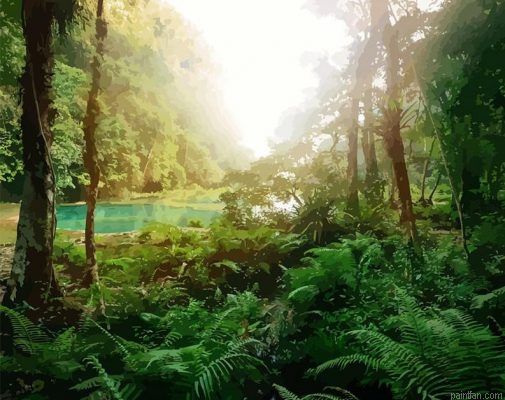 Rain Forest Paint By Numbers.png