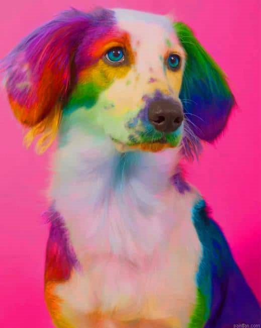 Rainbow Dog New Paint By Numbers.png