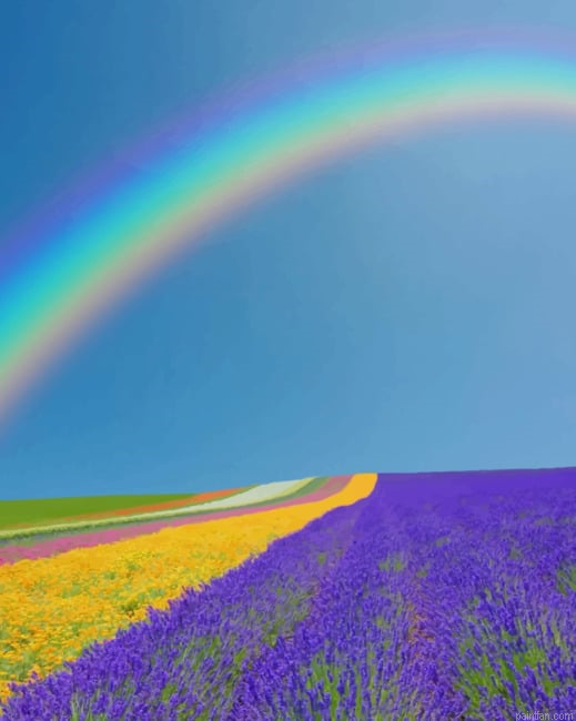 Rainbow In Lavender Field New Paint By Numbers.png