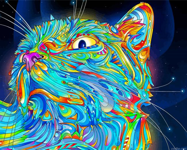 Rainbow Psychedelic Cat Paint By Numbers.png