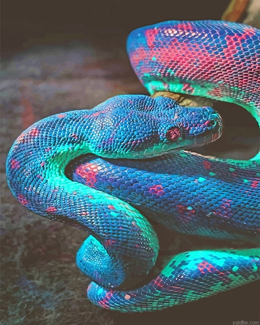 Rainbow Shimmering Snake New Paint By Numbers.png