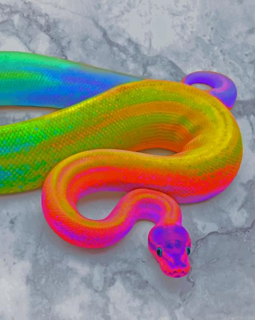 Rainbow Snake New Paint By Numbers.png