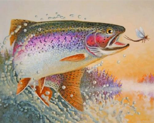 Rainbow Trout Fish Paint By Number.png