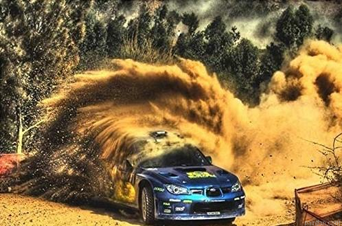 Rally Car Paint By Numbers.png