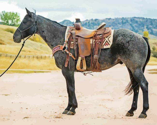 Ranch Horse Paint By Numbers.png