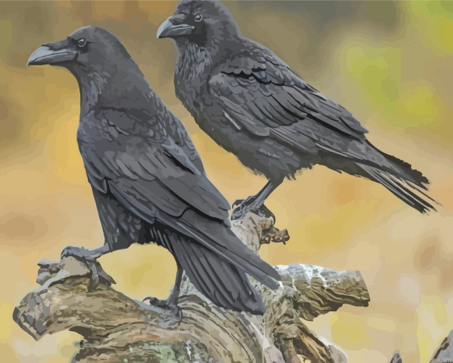 Ravens Birds Paint By Numbers.png