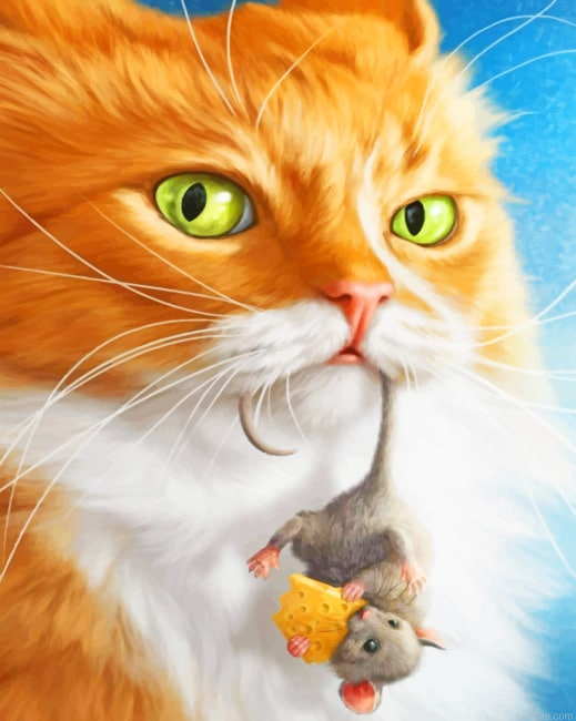 Real Tom Jerry New Paint By Numbers.png