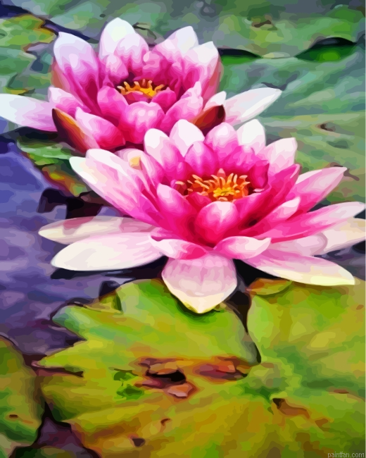 Realistic Water Lilies Paint By Number.png