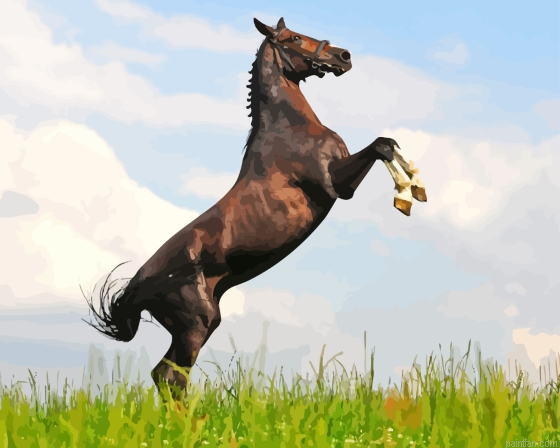 Rearing Horse Paint By Numbers.png