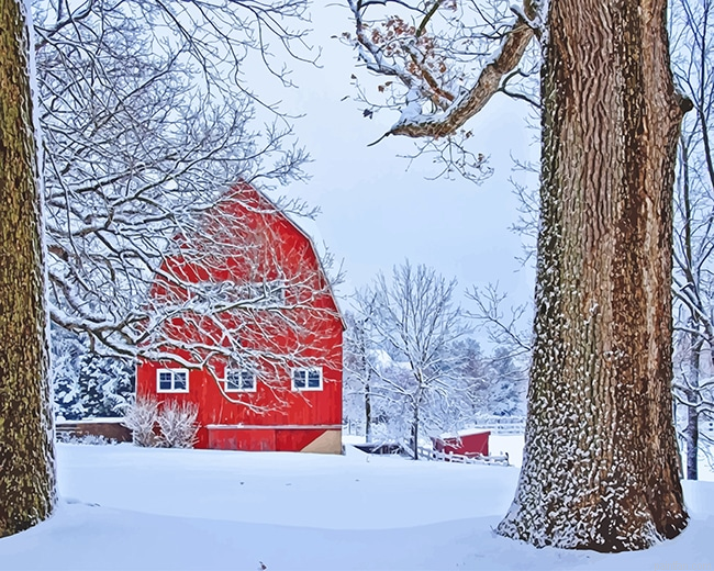 Red Barn Snow New Paint By Numbers.png