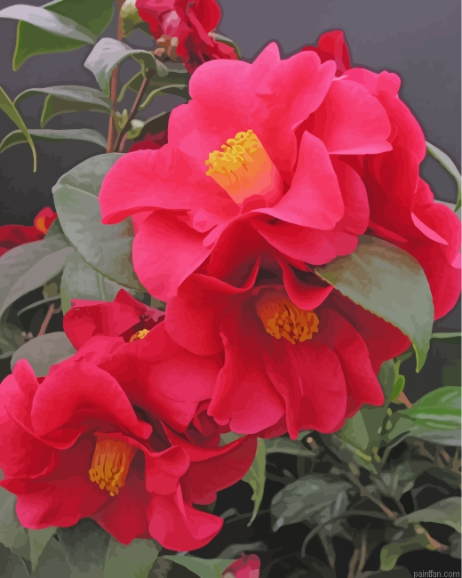 Red Camellia Paint By Number.png