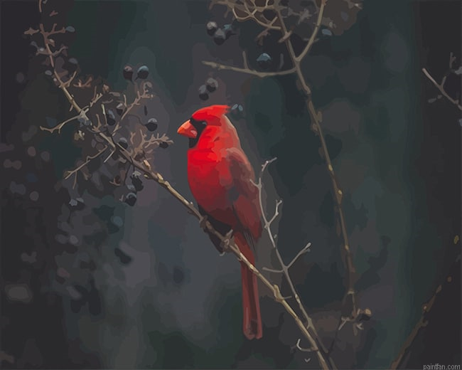 Red Cardinal Bird New Paint By Numbers.png