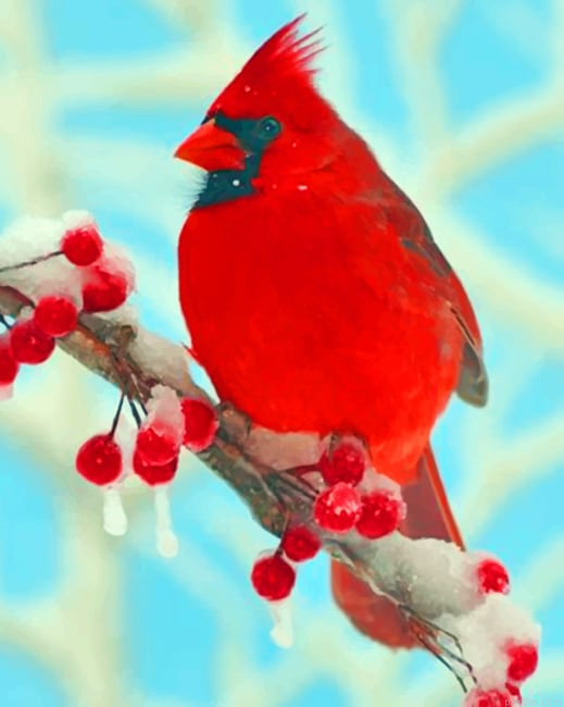 Red Cardinal New Paint By Numbers.png