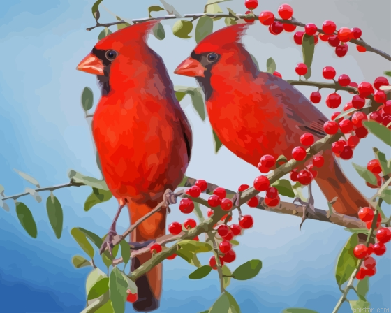 Red Cardinals Couple Paint By Numbers.png