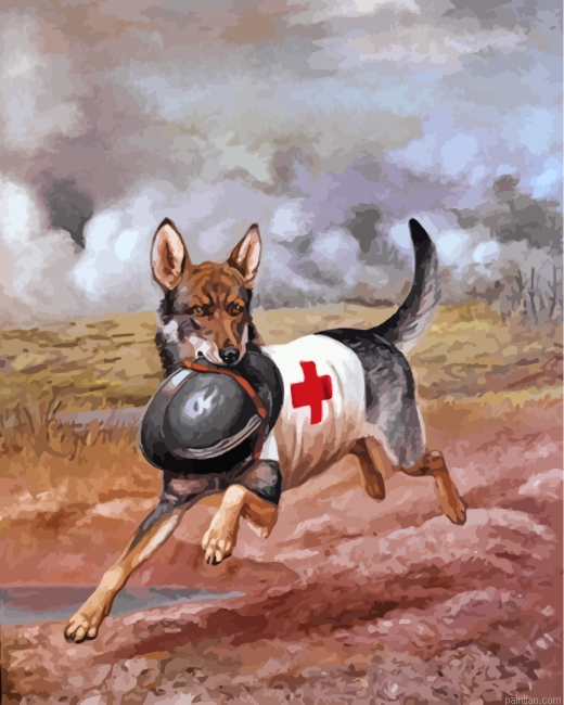Red Cross Dog Paint By Number.png