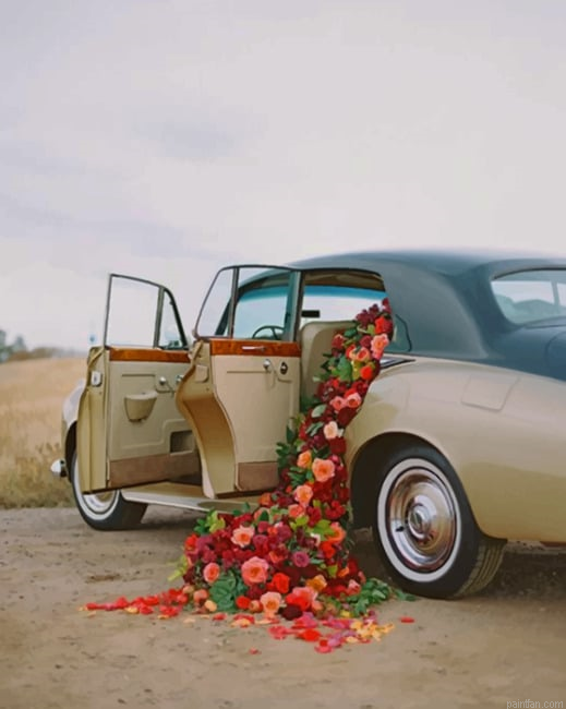 Red Flowers In A Classic Car New Paint By Numbers.png