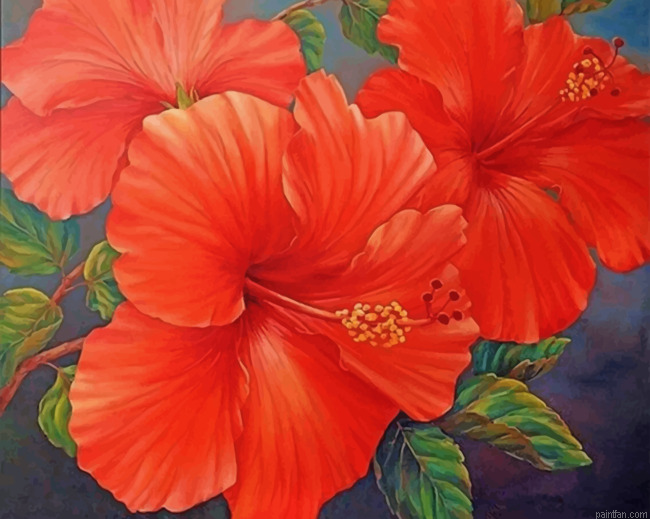 Red Hibiscus Paint By Number.png