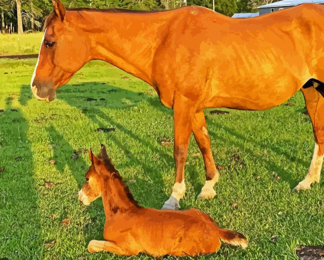Red Horse With Foal Paint By Numbers.png