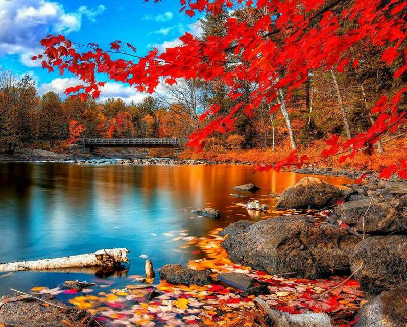 Red Landscape Paint By Numbers.png