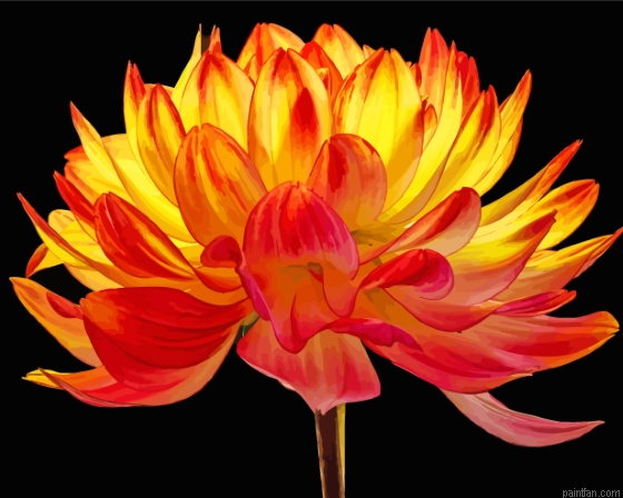 Red Orange Dahlia Paint By Numbers.png
