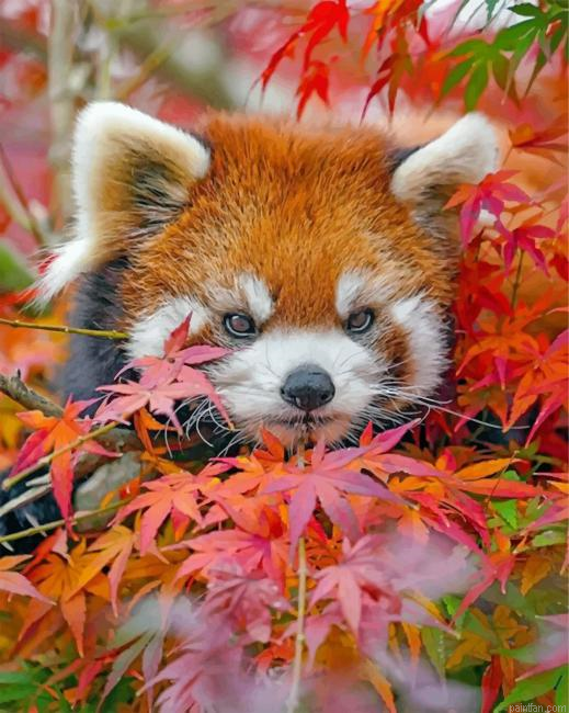 Red Panda And Leaves Paint By Number.png
