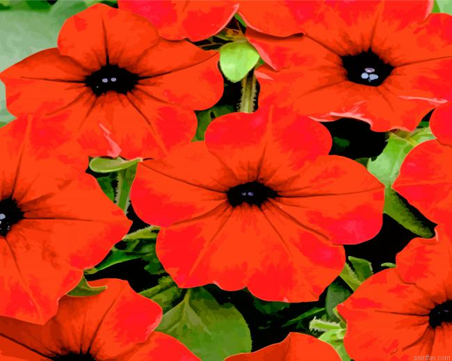 Red Petunia Paint By Number.png
