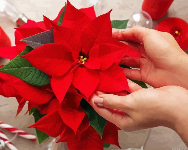 Red Poinsettia Art Paint By Numbers.png