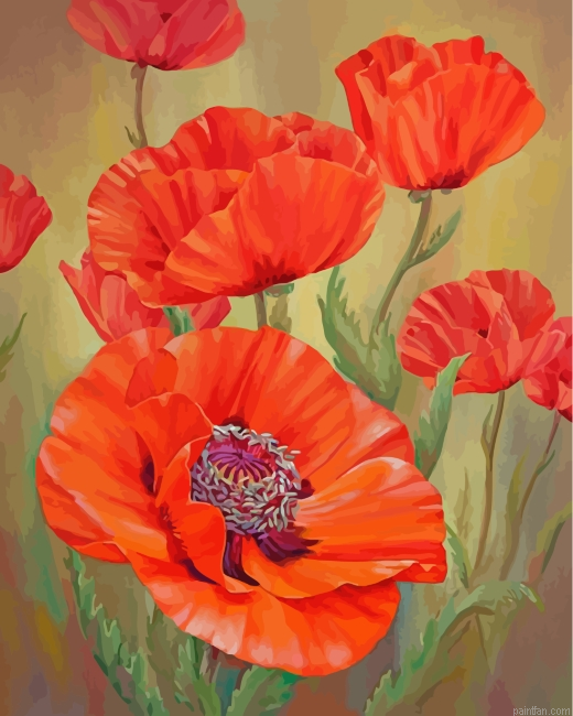 Red Poppies Paint By Number.png