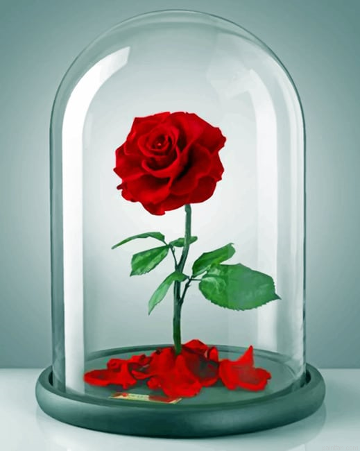 Red Rose Flowers Paint By Numbers.png