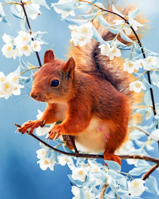 Red Squirrel With Flowers Animals Paint By Numbers.png