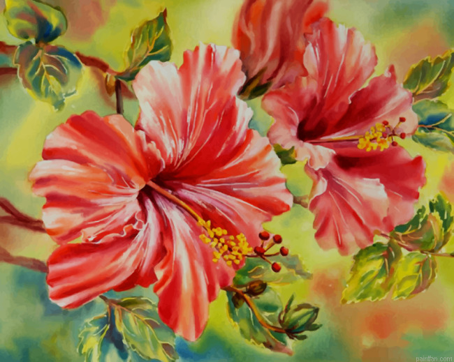 Red White Hibiscus Paint By Number.png