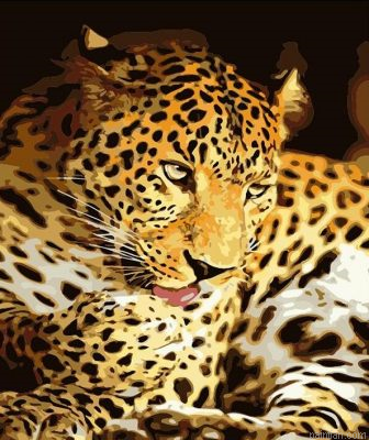 Resting Leopard Paint By Numbers.png