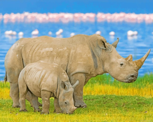 Rhinoceros Paint By Numbers.png