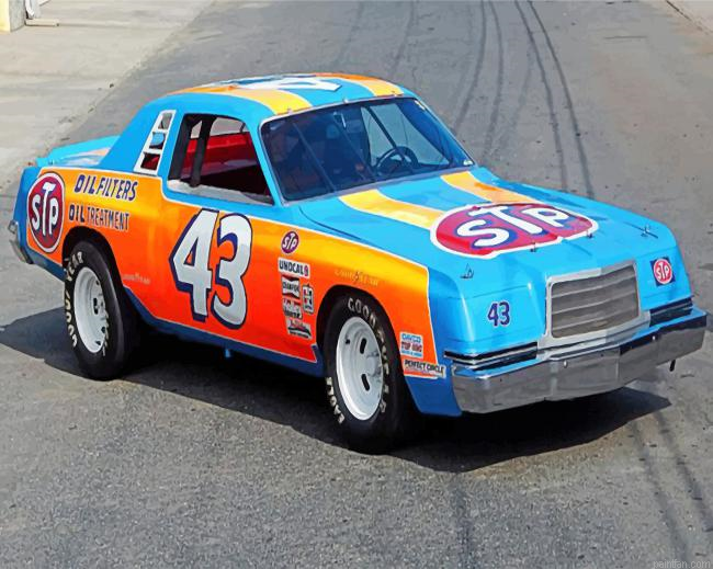 Richard Petty Race Car Paint By Number.png