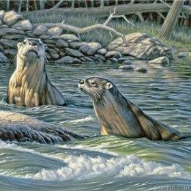 River Otters Paint By Numbers.png