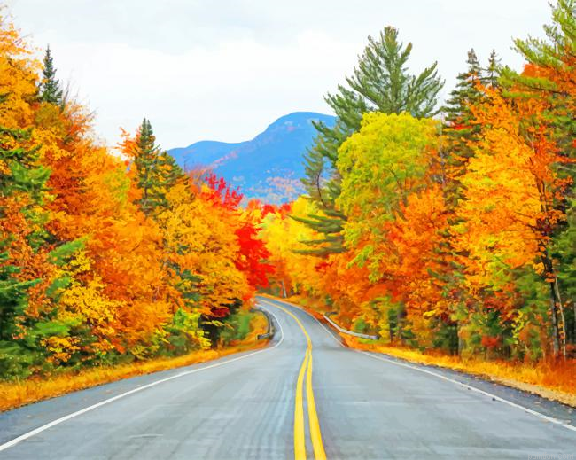 Road Autumn Trees New Paint By Numbers.png