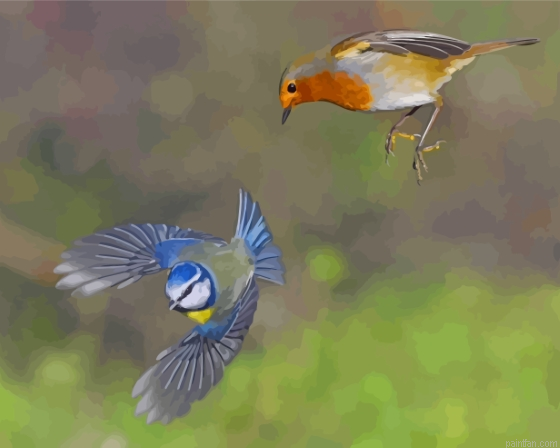 Robin And Blue Tit Paint By Numbers.png