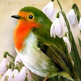 Robin Bird Paint By Numbers.png