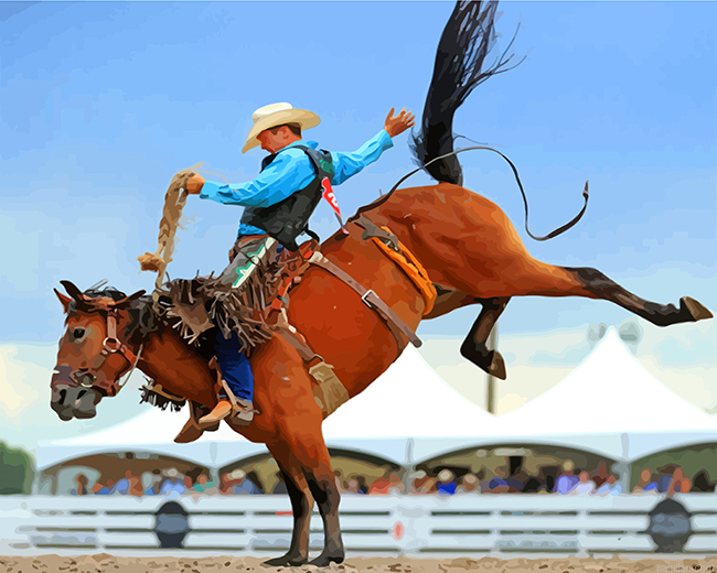 Rodeo Man Paint By Number.png