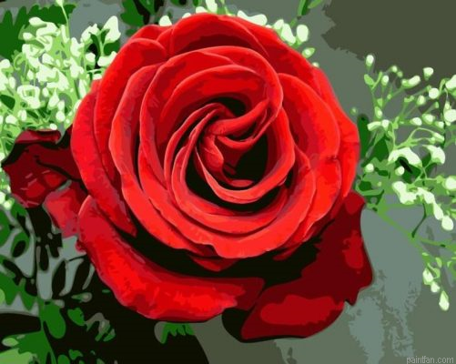 Romantic Rose Paint By Numbers.png