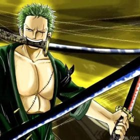 Roronoa Zoro Cartoon And Paint By Numbers.png
