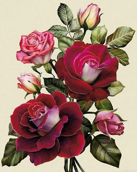 Rose Red Flowers Paint By Numbers.png