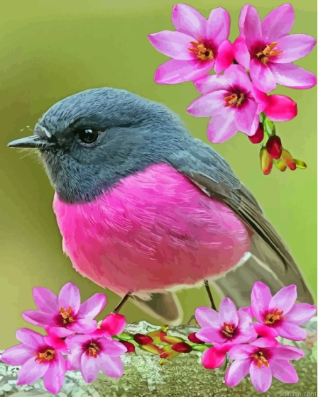 Rose Robin Paint By Numbers.png