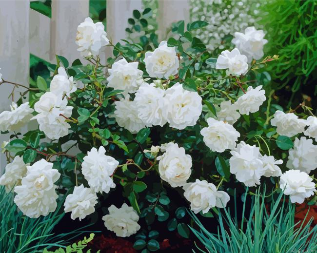 Rose White Fairy Paint By Numbers.png