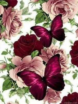 Rose And Butterfly Paint By Numbers.png