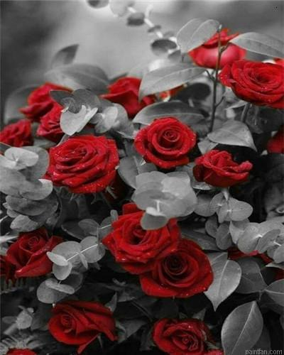 Roses With Leaf Paint By Numbers.png