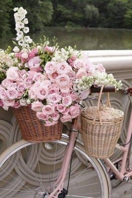 Roses In Bike Paint By Numbers.png