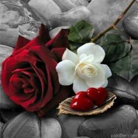 Roses On Gravel Paint By Numbers.png